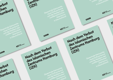 Brosch&uuml;rencover IZH-Nachfolgestrukturen